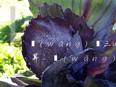 網(wǎng)貸三w怎么用信用卡還款合算-網(wǎng)貸三w怎么用信用卡還款合算呢