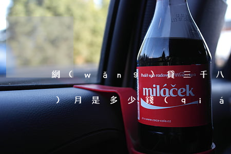 網(wǎng)貸三千八百逾期一個(gè)月是多少錢(qián)-網(wǎng)貸三千八百逾期一個(gè)月是多少錢(qián)利息
