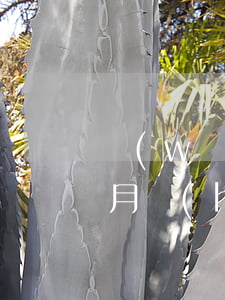 網(wǎng)貸三千多逾期幾個(gè)月會(huì)被起訴嗎（網(wǎng)貸逾期3萬被起訴有什么后果）