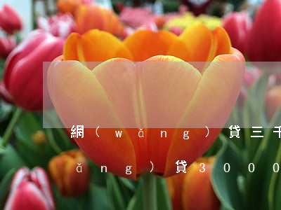 網(wǎng)貸三千起訴了怎么辦(網(wǎng)貸3000被起訴會(huì)不會(huì)被法院判刑)