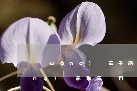 網(wǎng)貸三千逾期三個月(網(wǎng)貸逾期三個月會上征信嗎)