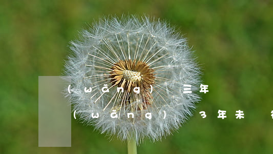 網(wǎng)貸三年沒還過訴訟時效了嗎（網(wǎng)貸3年未還被起訴）