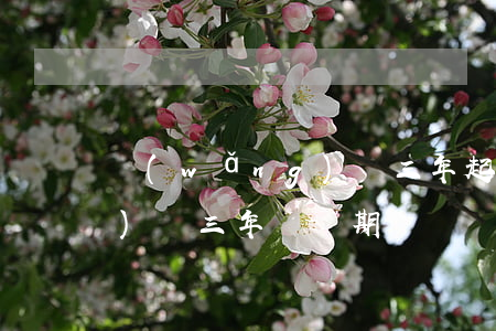 網(wǎng)貸三年起訴我(網(wǎng)貸三年訴訟期)