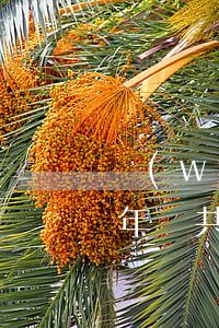 網(wǎng)貸三萬(wàn)元逾期一年總共要還多少-網(wǎng)貸三萬(wàn)元逾期一年總共要還多少錢