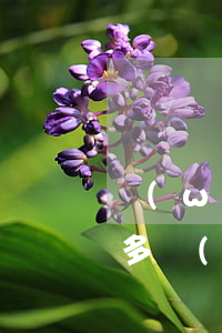 網(wǎng)貸三萬(wàn)欠了兩年多(網(wǎng)貸三萬(wàn)欠了兩年多)