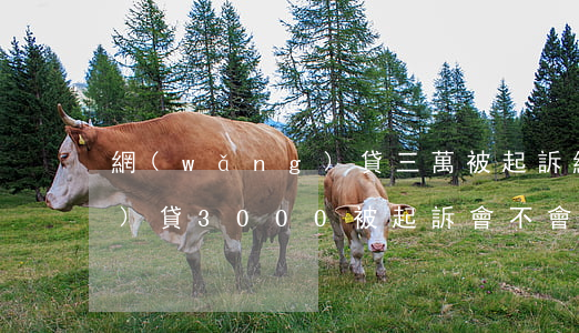 網(wǎng)貸三萬被起訴(網(wǎng)貸3000被起訴會不會被法院判刑)