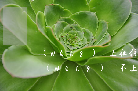 網(wǎng)貸上征信不還罰息太高(那些網(wǎng)貸不上征信利息特別高的一周就需要還的)