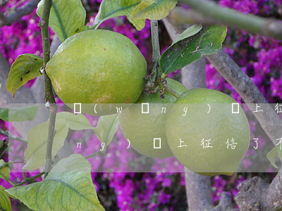 網(wǎng)貸上征信嗎還不起(網(wǎng)貸上征信了不還行不行)