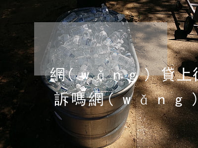 網(wǎng)貸上征信會(huì)被起訴嗎(網(wǎng)貸上征信有什么后果)