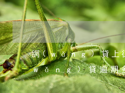網(wǎng)貸上征信逾期記錄五條(網(wǎng)貸逾期多久上征信報告)