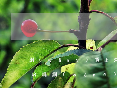 網(wǎng)貸上欠錢但是沒逾期可以買房嗎(網(wǎng)貸沒逾期還能貸款買房嗎)