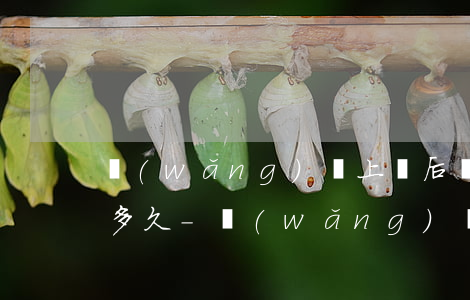 網(wǎng)貸上訴后還款期限可以申請多久-網(wǎng)貸上訴后還款期限可以申請多久呢