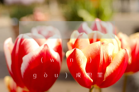 網(wǎng)貸上門(mén)催收構(gòu)成犯罪嗎