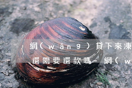 網(wǎng)貸下來凍結(jié)資金還需要還款嗎-網(wǎng)貸下來凍結(jié)資金還需要還款嗎怎么辦
