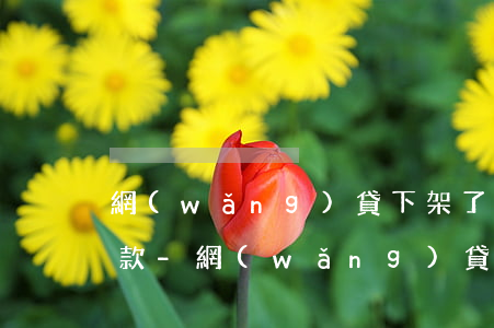 網(wǎng)貸下架了有人打電話叫我還款-網(wǎng)貸下架了有人打電話叫我還款怎么辦