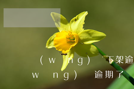 網(wǎng)貸下架逾期兩天怎么辦(網(wǎng)貸逾期了兩天怎么辦)