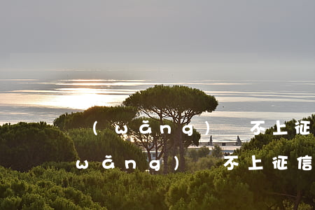 網(wǎng)貸不上征信不還的后果(網(wǎng)貸不上征信不還的后果)