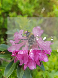 網(wǎng)貸不了被起訴會(huì)怎樣(網(wǎng)貸不了被起訴會(huì)怎樣)
