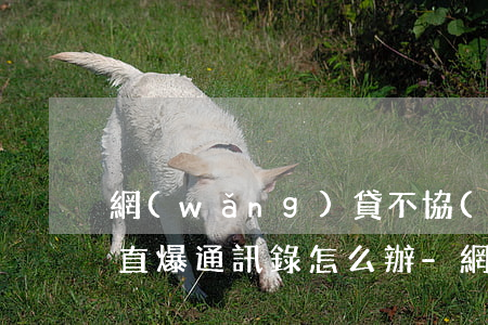 網(wǎng)貸不協(xié)商還款一直爆通訊錄怎么辦-網(wǎng)貸不協(xié)商還款一直爆通訊錄怎么辦呢