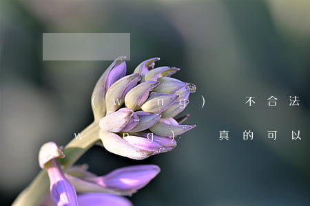 網(wǎng)貸不合法的可以不還嗎(網(wǎng)貸真的可以不還嗎)