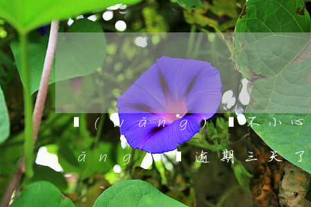 網(wǎng)貸不小心逾期了三天(網(wǎng)貸逾期三天了怎么辦)