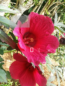 網(wǎng)貸不扣款起訴(網(wǎng)貸不扣款了怎么回事)