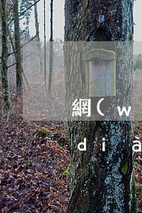 網(wǎng)貸不肯協(xié)商調(diào)整還款日期怎么辦-網(wǎng)貸不肯協(xié)商調(diào)整還款日期怎么辦呢