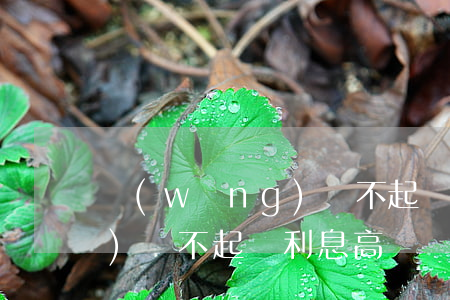 網(wǎng)貸不起訴利息(網(wǎng)貸不起訴利息高嗎)