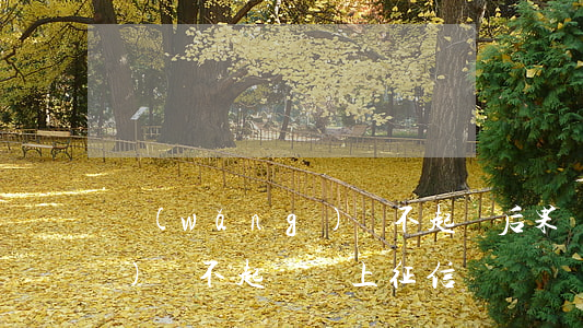 網(wǎng)貸不起訴后果 網(wǎng)貸不起訴會上征信嗎