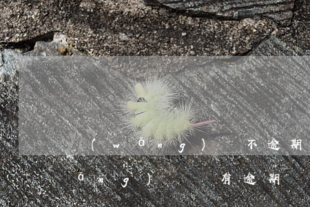 網(wǎng)貸不逾期也影響征信(網(wǎng)貸沒有逾期會(huì)對(duì)征信有影響嗎)