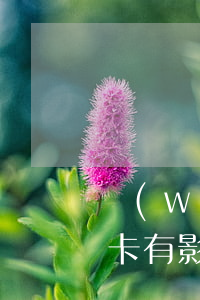 網(wǎng)貸不逾期對(duì)信用卡有影響嗎(網(wǎng)貸不逾期會(huì)影響辦信用卡嗎)