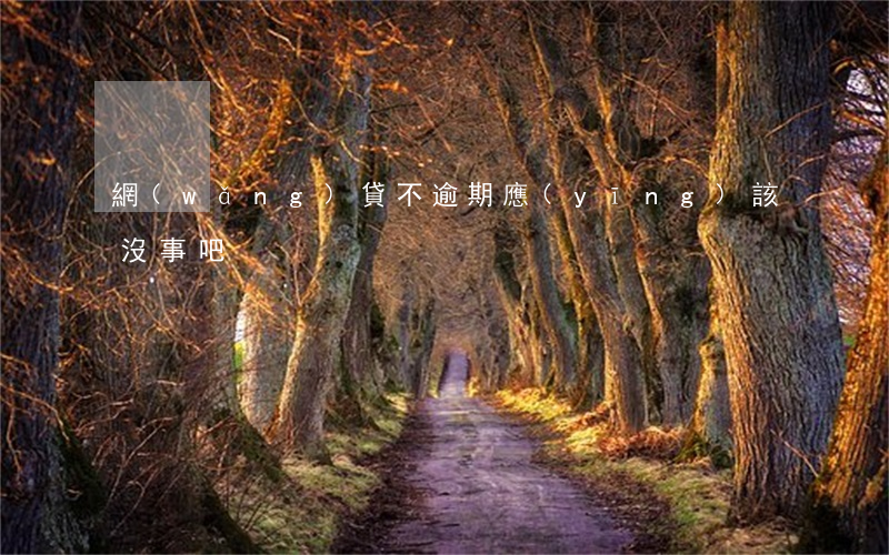 網(wǎng)貸不逾期應(yīng)該沒事吧