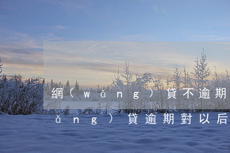 網(wǎng)貸不逾期會影響買房(網(wǎng)貸逾期對以后買房有影響嗎)