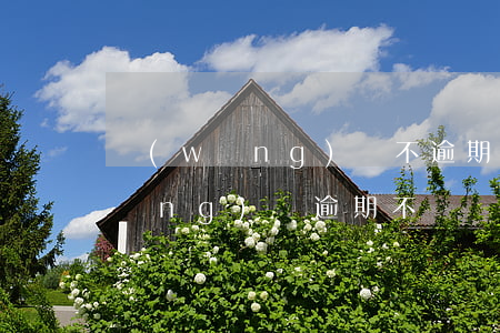 網(wǎng)貸不逾期有什么后果(網(wǎng)貸逾期不還會(huì)有什么后果)