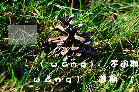 網(wǎng)貸不逾期都要上征信嗎(網(wǎng)貸逾期會(huì)不會(huì)上征信)