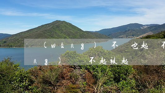 網(wǎng)貸不還也起訴不了(網(wǎng)貸還不起被起訴)