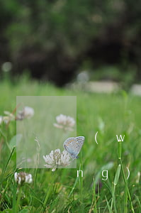 網(wǎng)貸不還利息行不行（網(wǎng)貸利息不還會被起訴）