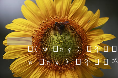 網(wǎng)貸不還對支付寶的影響(網(wǎng)貸不還會不會有影響)