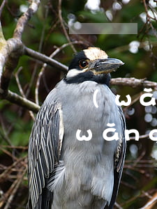 網(wǎng)貸不還小孩不能讀書嗎(網(wǎng)貸不還影響孩子嗎?)