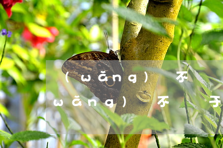 網(wǎng)貸不還屬于民事糾紛嗎(網(wǎng)貸不還屬于什么案件)