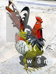 網(wǎng)貸不還影響家人政審嗎(網(wǎng)貸五萬影響政審)