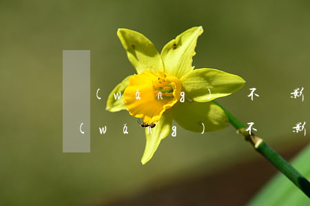 網(wǎng)貸不還影響申辦信用卡嗎(網(wǎng)貸不還影響申辦信用卡嗎)