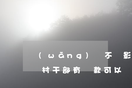 網(wǎng)貸不還影響當(dāng)選村干部(有貸款可以競選村干部嗎)