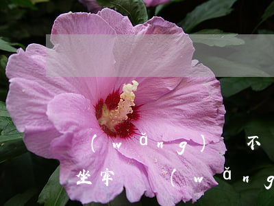 網(wǎng)貸不還怎么辦會(huì)坐牢嗎(網(wǎng)貸借錢不還會(huì)坐牢嗎)