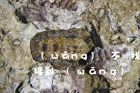 網(wǎng)貸不還找朋友催可以嗎(老是接到網(wǎng)貸催朋友還款電話)
