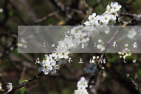 網(wǎng)貸不還最嚴(yán)重的后果-不上征信網(wǎng)貸不還最嚴(yán)重的后果