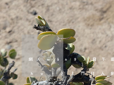 網(wǎng)貸不還會(huì)不會(huì)上門打人(網(wǎng)貸沒還法院會(huì)上門嗎?)