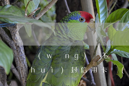 網(wǎng)貸不還會(huì)不會(huì)封信用卡(網(wǎng)貸和信用卡不還會(huì)不會(huì)凍結(jié)儲(chǔ)蓄卡?)