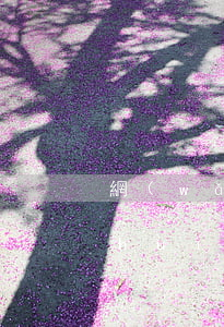 網(wǎng)貸不還會(huì)不會(huì)找到公司(網(wǎng)貸不還,會(huì)不會(huì)找到公司來)