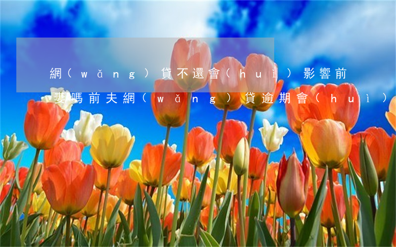 網(wǎng)貸不還會(huì)影響前妻嗎(前夫網(wǎng)貸逾期會(huì)影響我嗎)